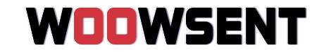 woowsent Logo