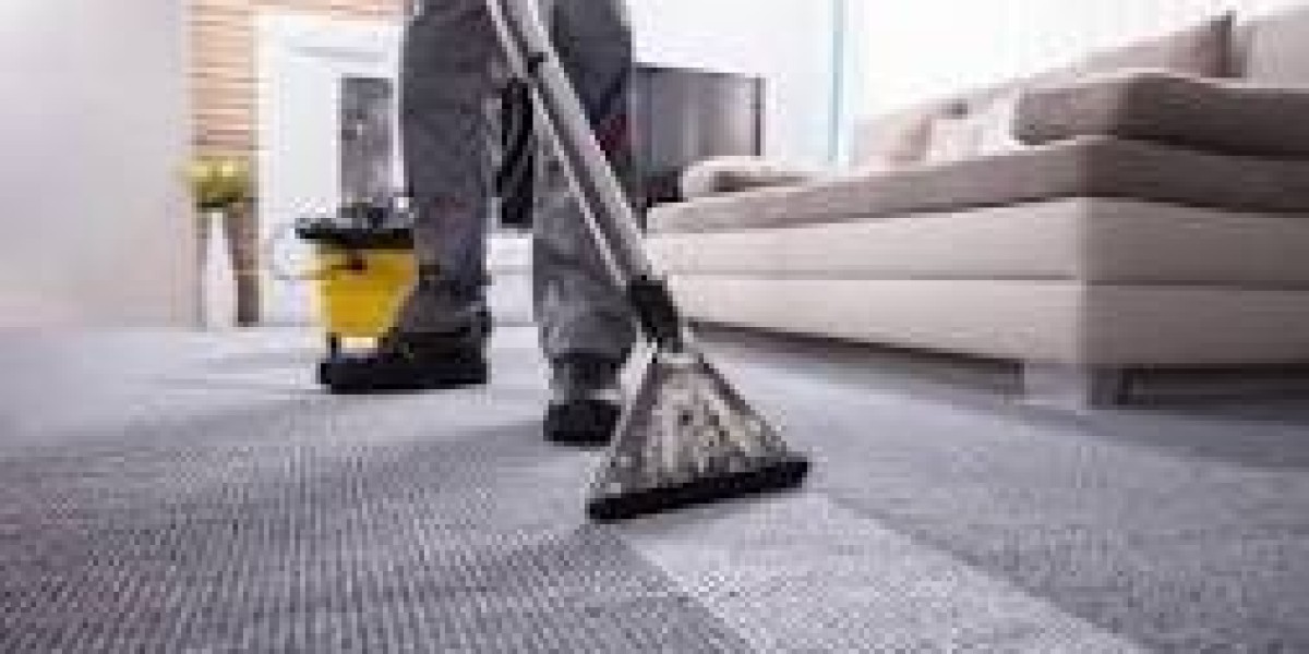 Professional Carpet Cleaning: A Foundation of Elegant Home Design