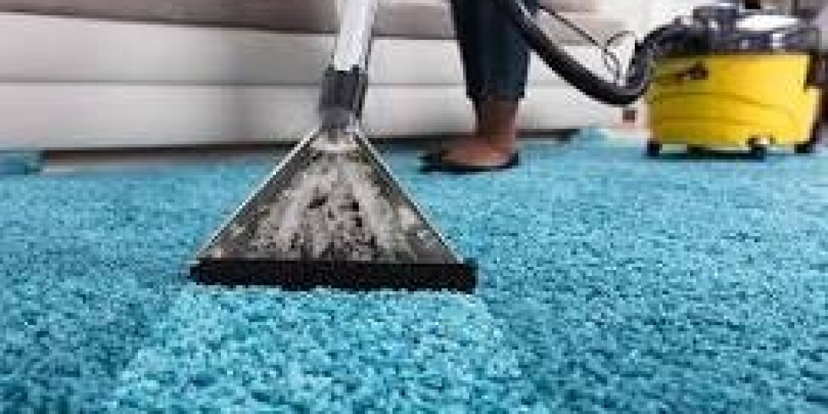 Professional Carpet Cleaning: Aesthetic Excellence for Every Room