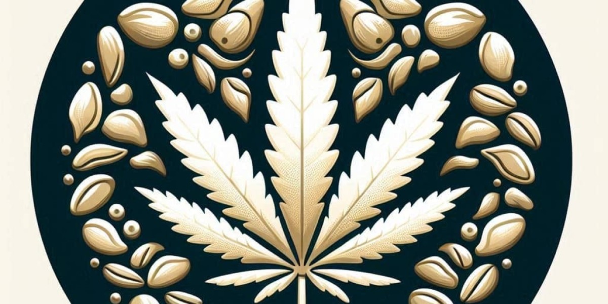 White Widow Seedling Stage: A Crucial Start to a Legendary Strain