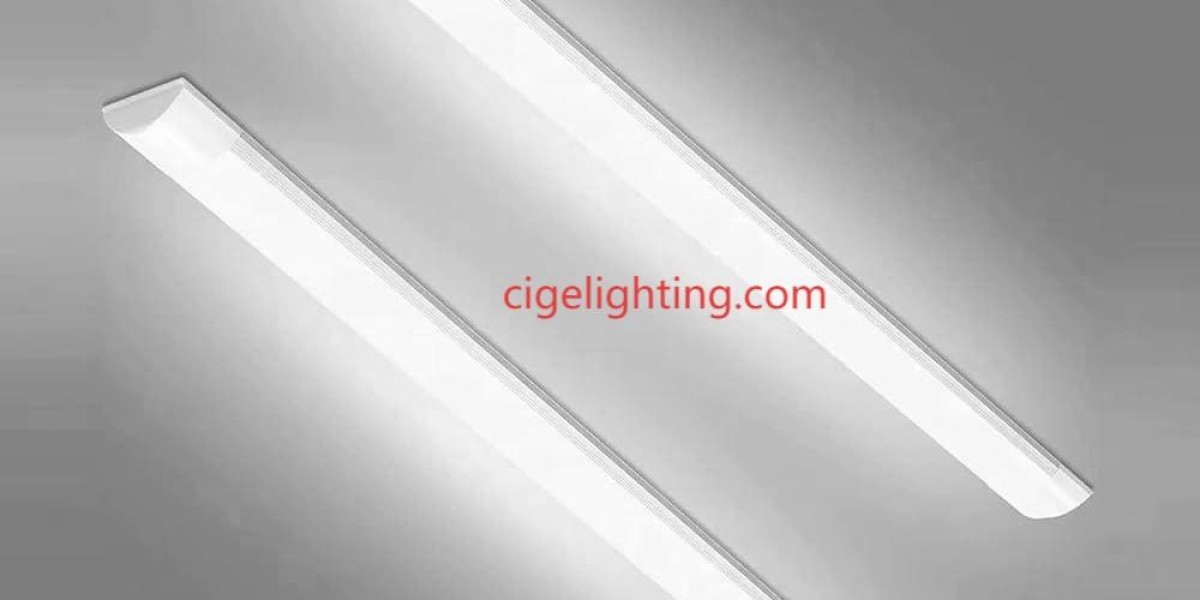 The Custodians of Light’s Perpetual Legacy