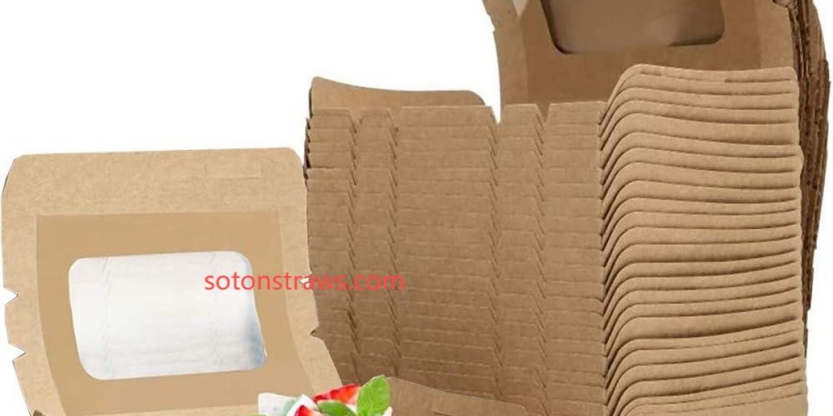 Functional Innovation in Soton's Disposable Kraft Box